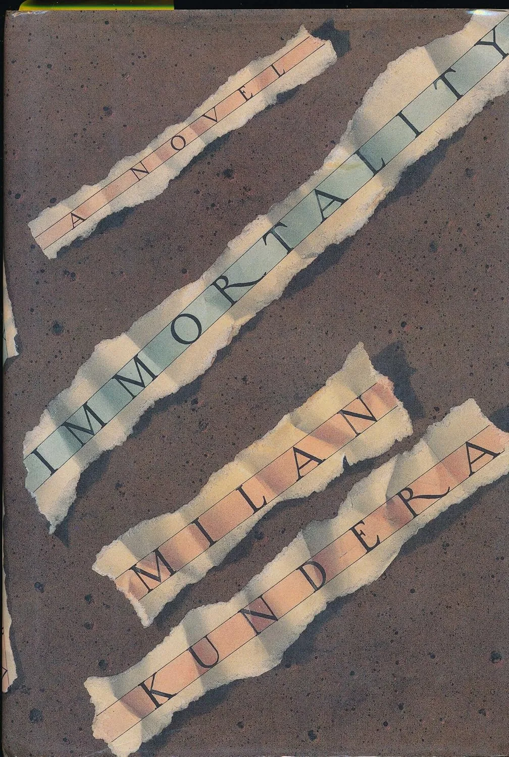 Immortality Hardcover  January 1, 1991